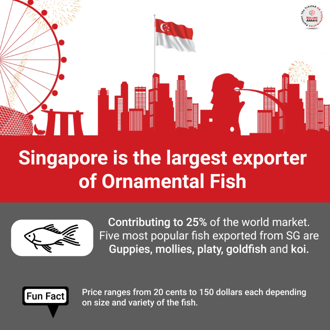 singapore-largest-exporter